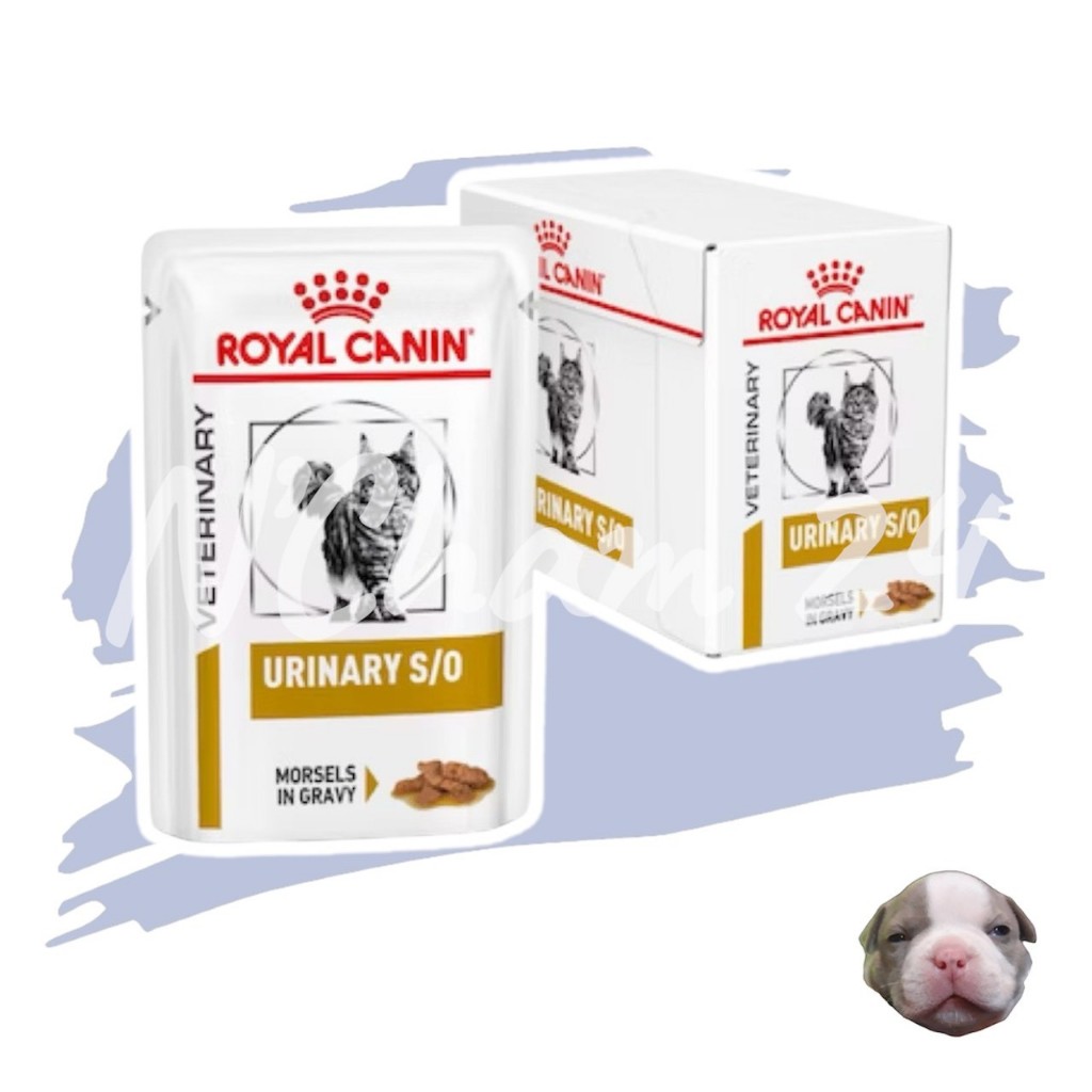 รูปสินค้า Royal Canin Urinary S/O Cat Pouch ขนาด85กรัม จำนวน อาหารเปียกแมว 12 ซอง