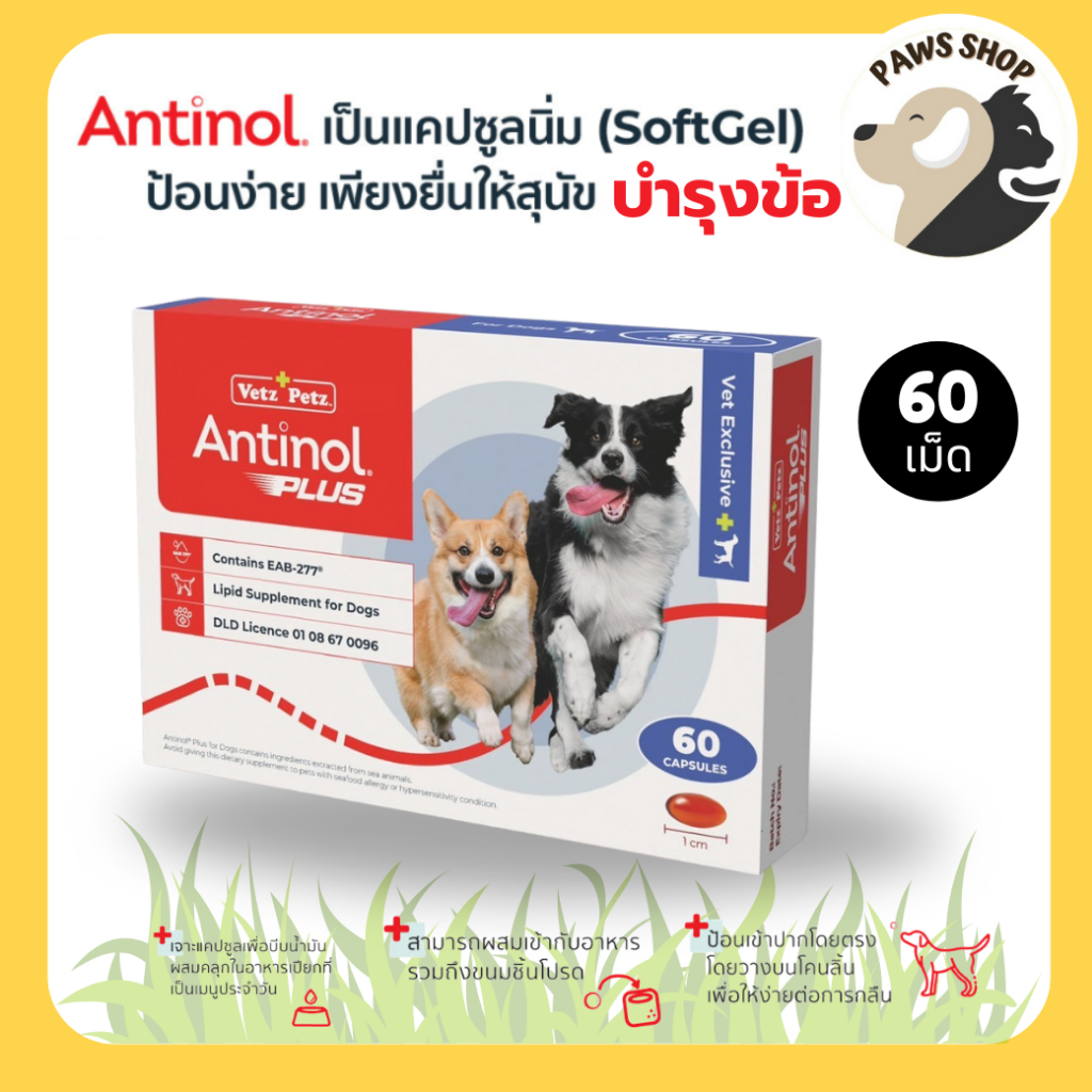 รูปสินค้า Antinol DOG 60 แคปซูล แพ็กเกจใหม่ อาหารเสริมสูตรดูแลข้อและกระดูก สูตรดูแลข้อ บรรจุ 60 เม็ด แบบกล่อง