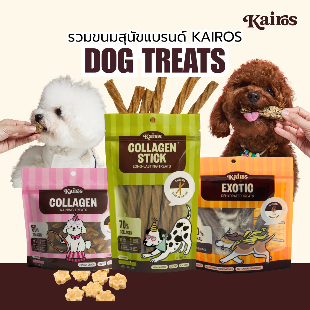 รูปสินค้า รวมขนมสุนัขแบรนด์ KAIROS ขนมขัดฟัน ขนมหมา ขนมฝึกสุนัข สัตว์อบแห้ง มาตรฐานส่งออก