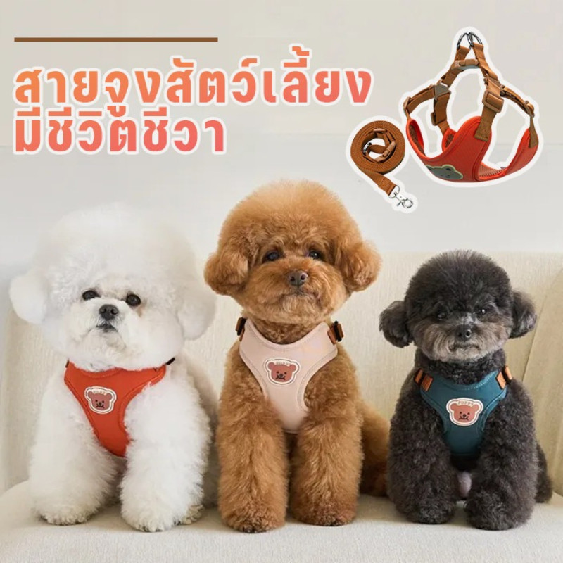 รูปสินค้า เสื้อรัดอกแมว สายจูงสำหรับสุนัขและแมว พร้อมสายรัดอก สามารถปรับระดับได้