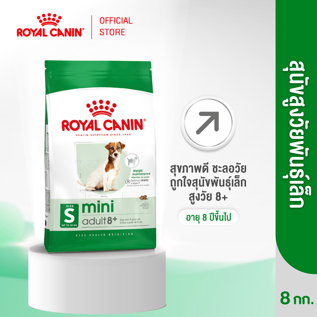 รูปสินค้า Royal Canin Mini Adult 8+ อาหารเม็ดสุนัขสูงวัยพันธุ์เล็ก 8 กก.