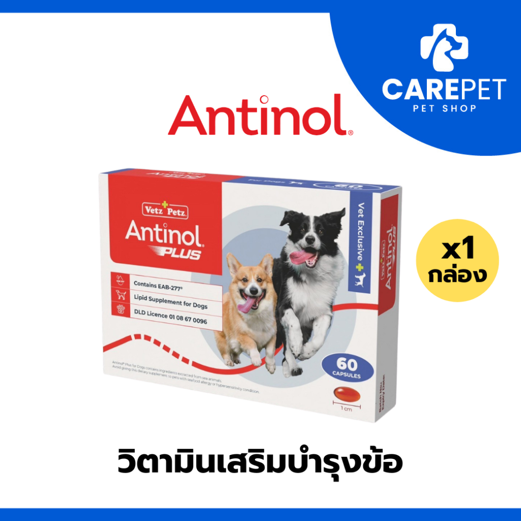 รูปสินค้า Antinol Dog แอนทินอล อาหารเสริมไขมัน สูตรดูแลข้อและกระดูก สำหรับสุนัข 60 เม็ด 1 กล่อง