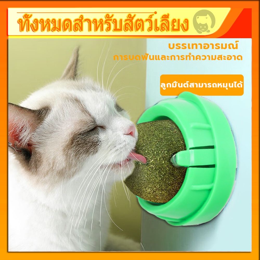 รูปสินค้า บอลแคทนิปสำหรับแมว ติดผนังได้