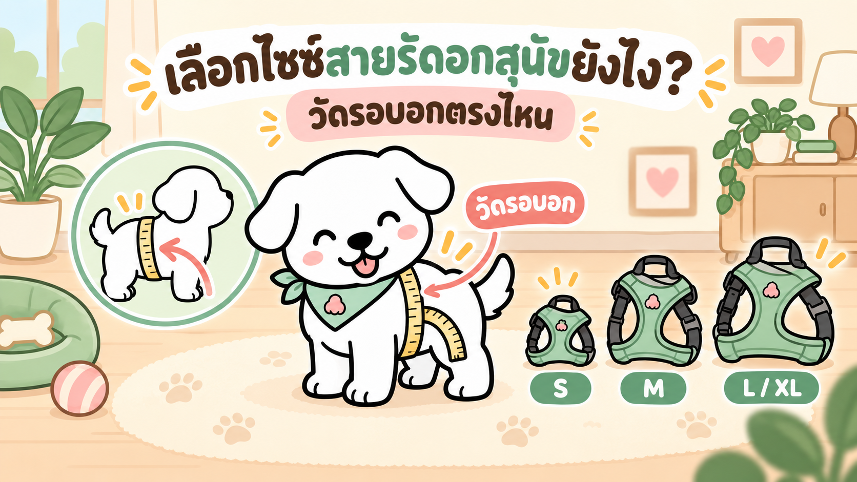 ภาพประกอบบทความ เลือกไซซ์สายรัดอกสุนัขยังไง? วัดรอบอกตรงไหน