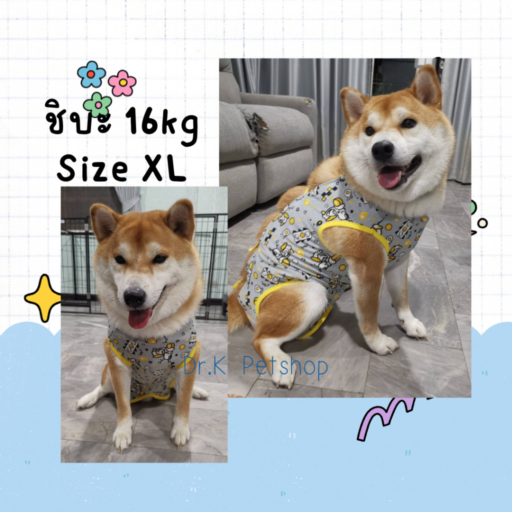 รูปสินค้า ตัดเย็บมือทำเอง Size XL ชุดกันเลียแผล สุนัข แมว ชุดหลังผ่าตัด