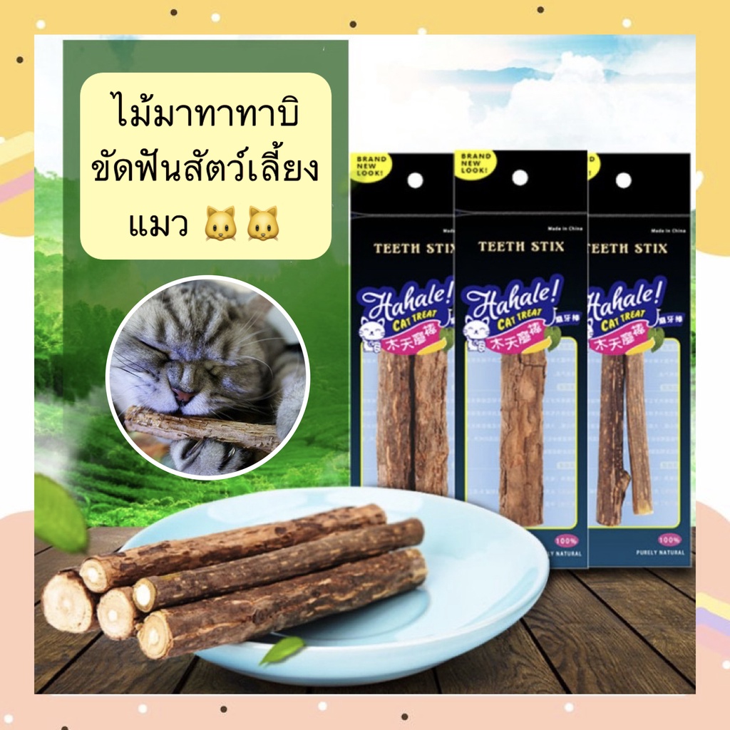 รูปสินค้า PP-367 ไม้มาทาทาบิ ของเล่นขัดฟันสำหรับแมว สำหรับการดูแลช่องปาก เสริมสุขภาพช่องปากแมว ราคาน่ารัก พร้อม ทันที