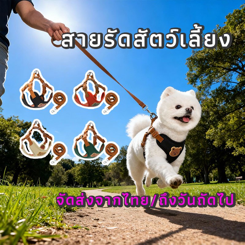 รูปสินค้า สายรัดอกสุนัขขนาดเล็กกลาง Dog Harness ลายหมีน่ารัก ปรับได้ สายจูงแมวได้