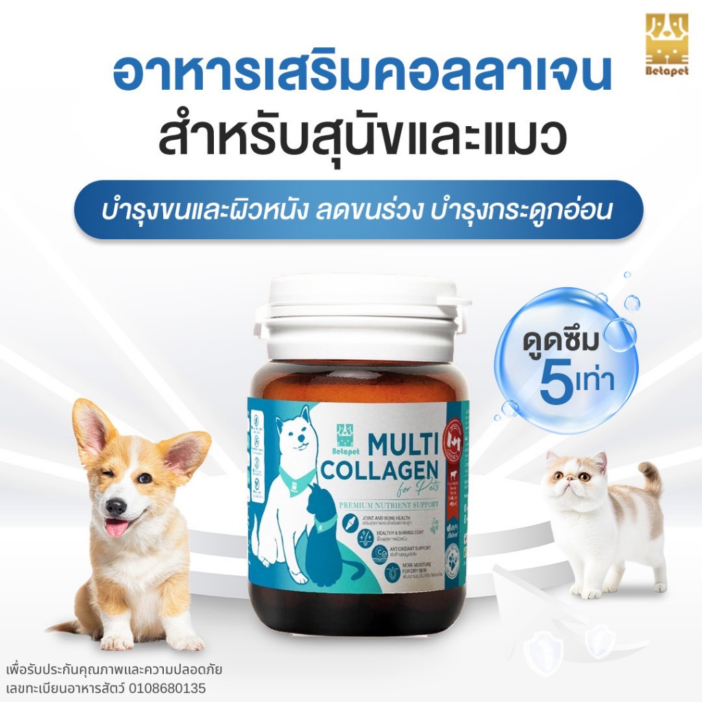 รูปสินค้า Betapet อาหารเสริมคอลลาเจน 100% สำหรับสุนัขและแมว สูตรดูแลผิวและขน เพิ่มความชุ่มชื้น ลดผิวหนังหลุดลอกเป็นขุย