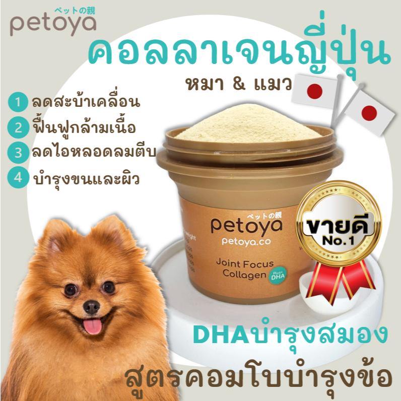 รูปสินค้า Petoya คอลลาเจนญี่ปุ่นสูตรดูแลข้อและกระดูกและขน สำหรับสุนัขและแมว สูตร Joint Focus + DHA