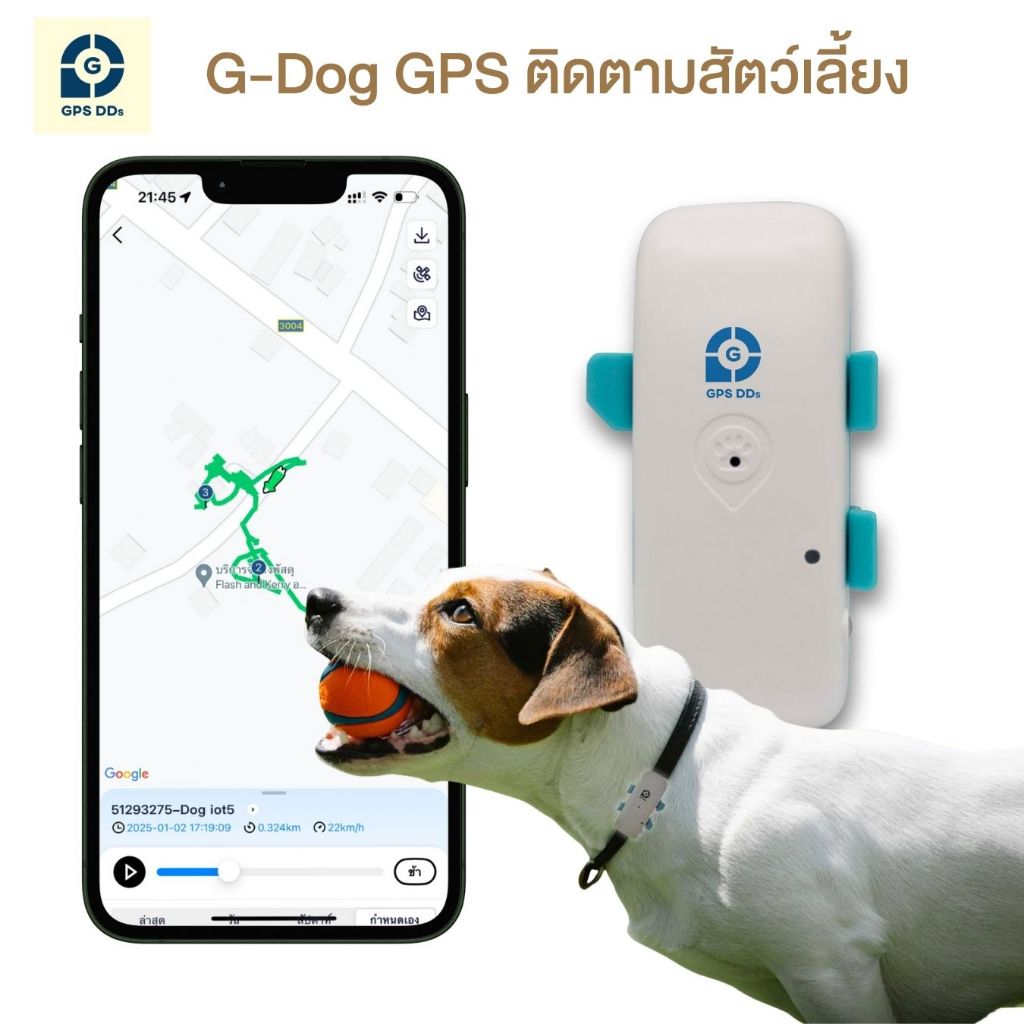รูปสินค้า GPSDD จีพีเอสดีดี G-Dog GPS ติดตามน้องหมา โดยยึดกับปลอกคอ ช่วยติดตามสุนัขได้