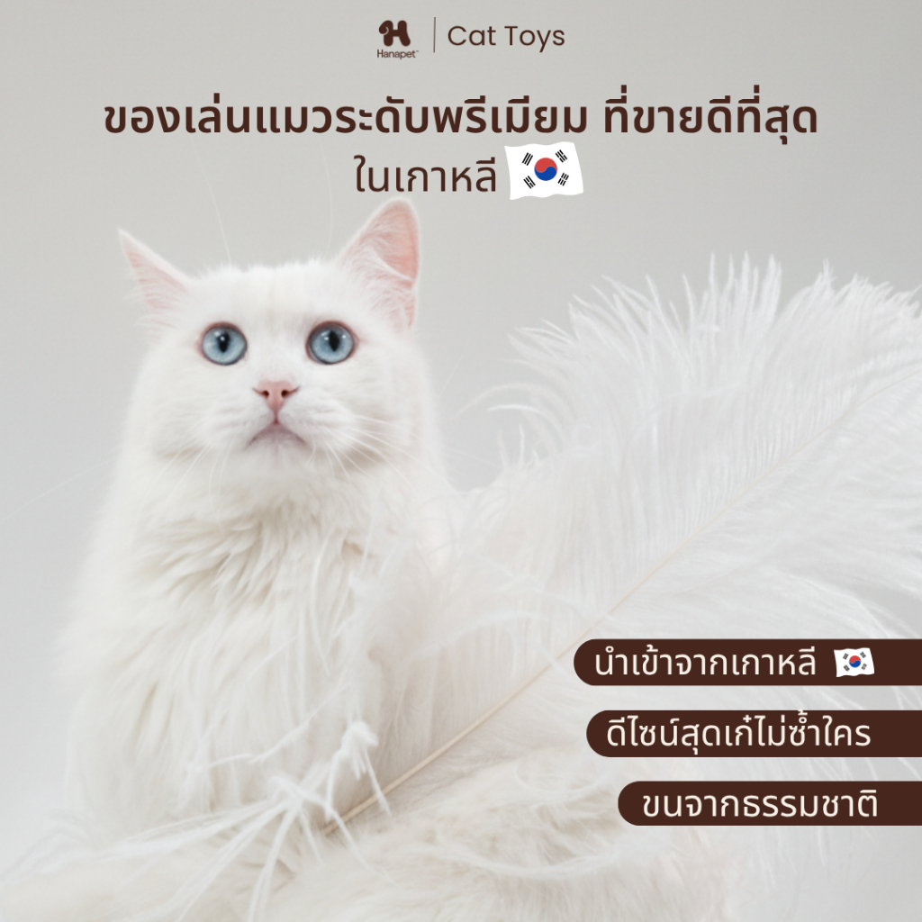 รูปสินค้า Hana Pet ฮะนะเพ็ท Hanapet ไม้ตกแมวขนนก/ขนสัตว์แท้ 100% มีให้เลือก 12 แบบ เบ็ดตกแมว