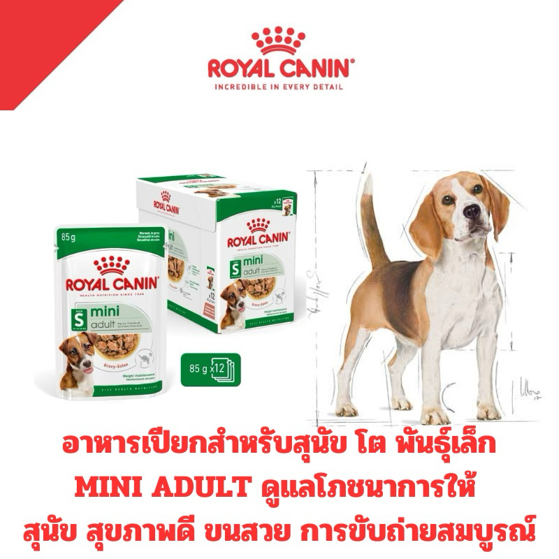 รูปสินค้า Royal Canin Mini ADULT 12 อาหารเปียกสุนัขโตพันธุ์เล็ก 85 กรัม จำนวน 12 ซอง